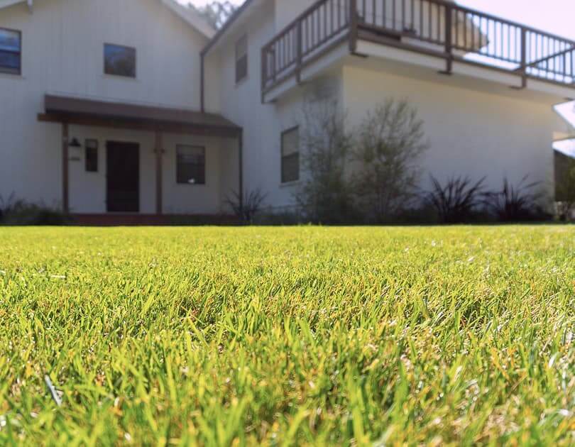 landscaping-21b